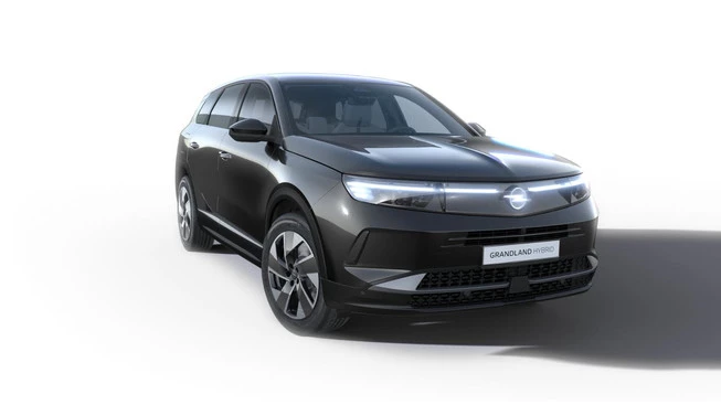 Opel Grandland - Afbeelding 1 van 7