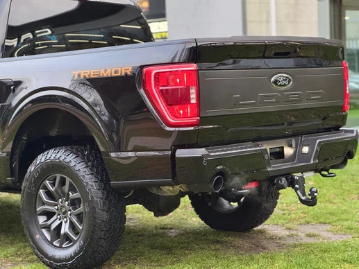 Ford F-150 - Afbeelding 7 van 30