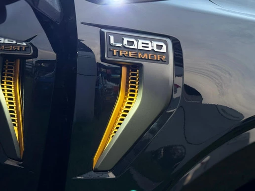 Ford F-150 - Afbeelding 17 van 30