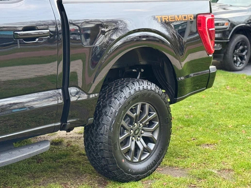 Ford F-150 - Afbeelding 8 van 30