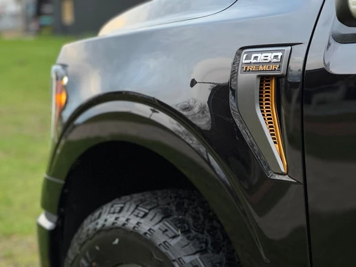 Ford F-150 - Afbeelding 11 van 30