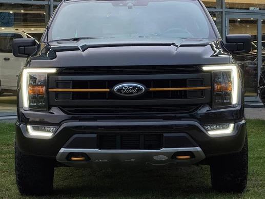 Ford F-150 - Afbeelding 13 van 30