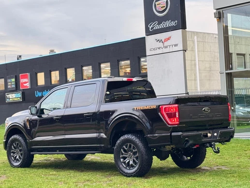 Ford F-150 - Afbeelding 16 van 30