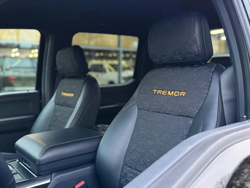 Ford F-150 - Afbeelding 25 van 30