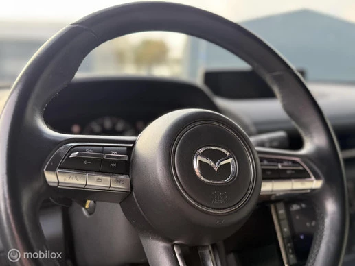 Mazda MX-30 - Afbeelding 16 van 23