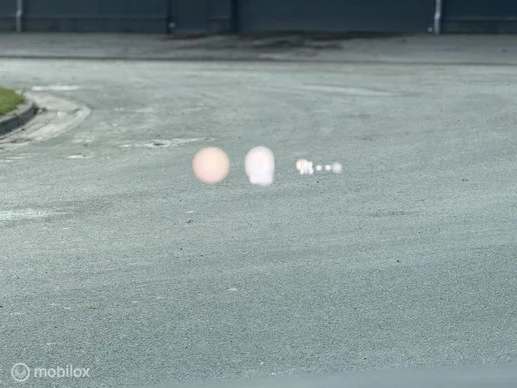 Mazda MX-30 - Afbeelding 20 van 23