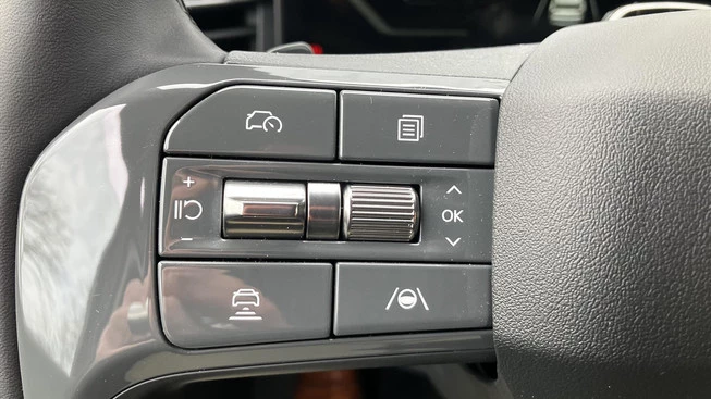 Kia EV9 - Afbeelding 20 van 30