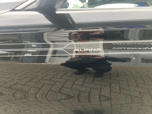 Alpina B4 - Afbeelding 10 van 19