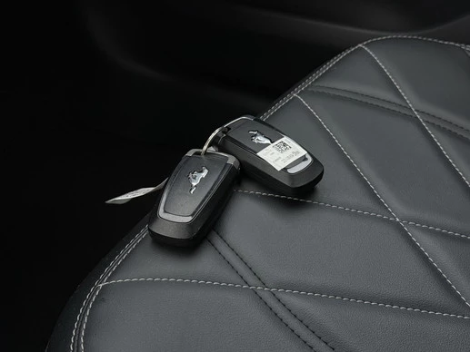 Ford Mustang Mach-E - Afbeelding 30 van 30