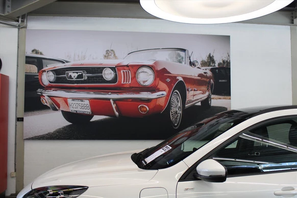 Ford Mustang Mach-E - Afbeelding 30 van 30