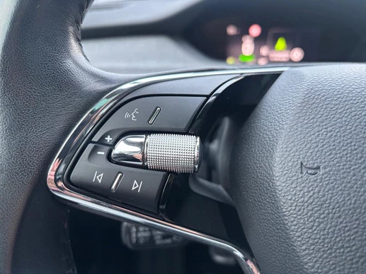 Škoda Enyaq iV - Afbeelding 6 van 24