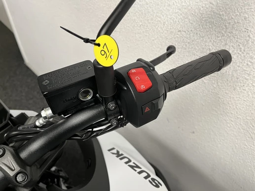 Suzuki GSX - Afbeelding 22 van 22