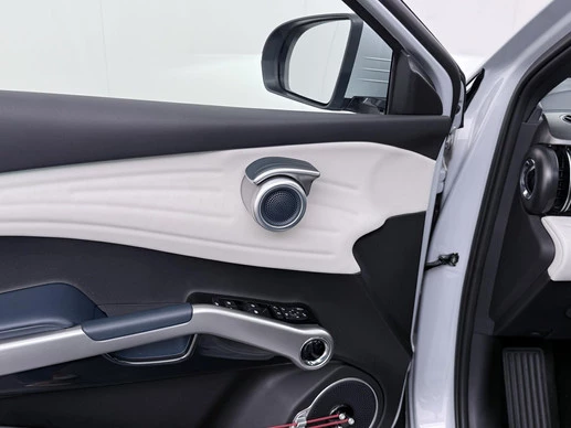 BYD ATTO 3 - Afbeelding 15 van 30