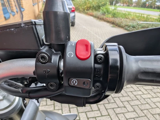 Triumph Tiger - Afbeelding 11 van 17