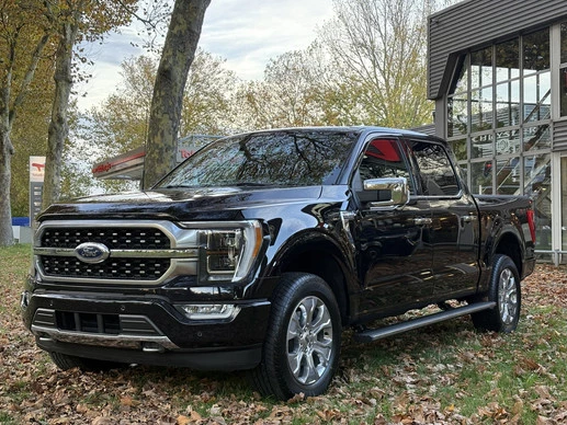 Ford F-150 - Afbeelding 3 van 24