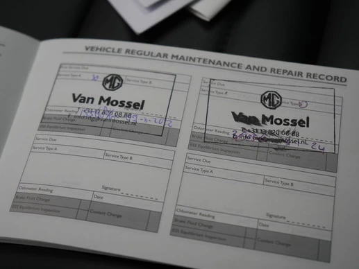 MG EHS - Afbeelding 10 van 30