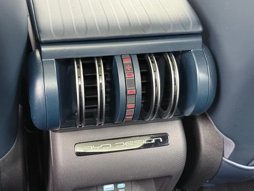 BYD ATTO 3 - Afbeelding 22 van 30