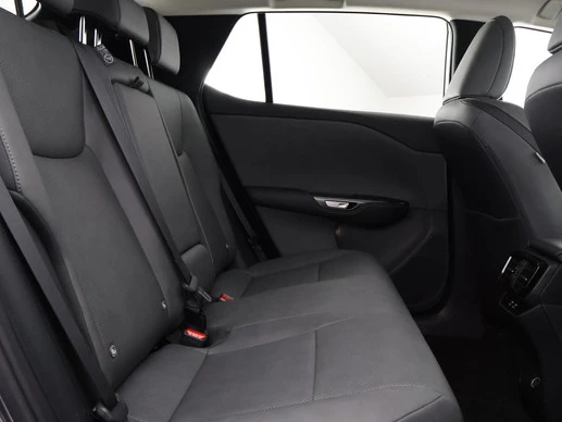 Lexus RZ - Afbeelding 18 van 30