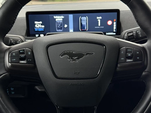 Ford Mustang Mach-E - Afbeelding 20 van 28