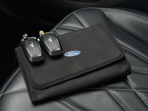 Ford Mustang Mach-E - Afbeelding 28 van 28