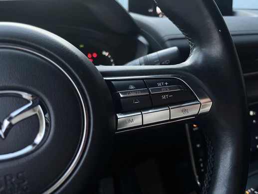 Mazda MX-30 - Afbeelding 20 van 30