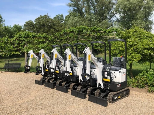 Bobcat  - Afbeelding 4 van 17