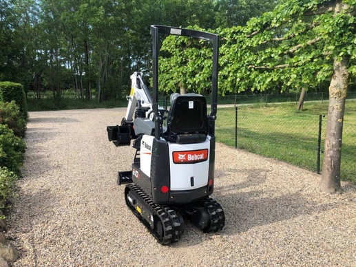 Bobcat  - Afbeelding 7 van 17