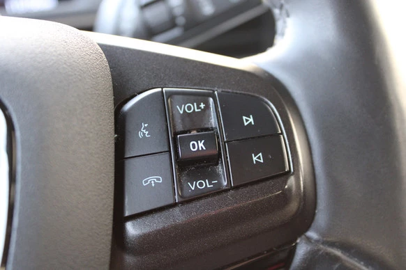 Ford Mustang Mach-E - Afbeelding 11 van 30