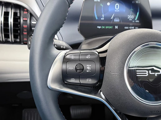 BYD ATTO 3 - Afbeelding 28 van 30