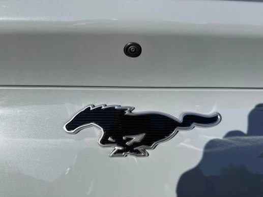 Ford Mustang Mach-E - Afbeelding 7 van 30