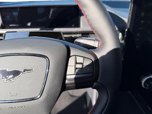 Ford Mustang Mach-E - Afbeelding 21 van 30