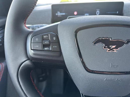 Ford Mustang Mach-E - Afbeelding 20 van 30