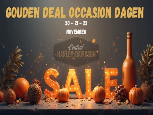 Harley-Davidson Street Bob - Afbeelding 1 van 12