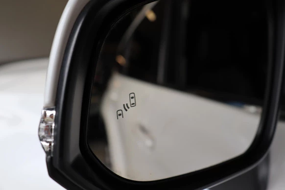 Toyota Highlander - Afbeelding 10 van 30