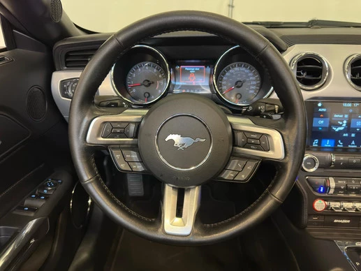 Ford Mustang - Afbeelding 12 van 30