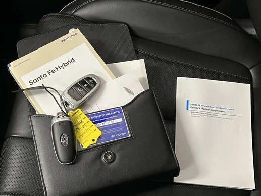 Hyundai Santa Fe - Afbeelding 12 van 30