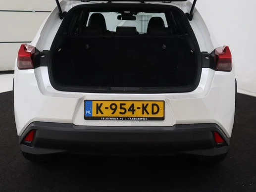 Lexus UX - Afbeelding 10 van 30