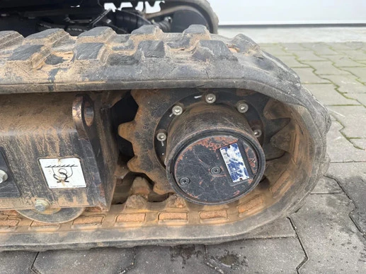 Bobcat  - Afbeelding 4 van 27