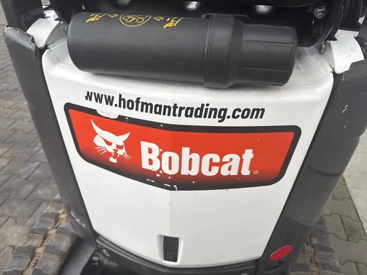 Bobcat  - Afbeelding 10 van 27