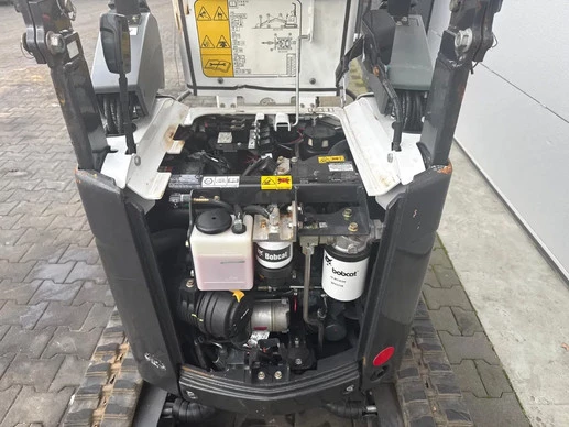 Bobcat  - Afbeelding 11 van 27