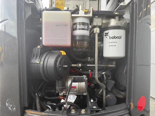 Bobcat  - Afbeelding 15 van 27