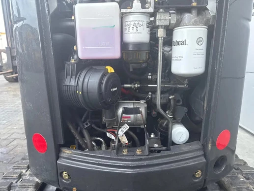 Bobcat  - Afbeelding 13 van 27