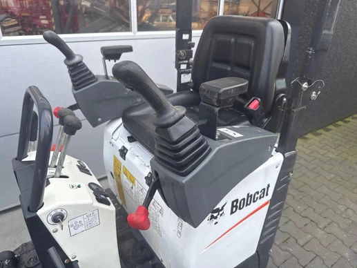 Bobcat  - Afbeelding 16 van 27