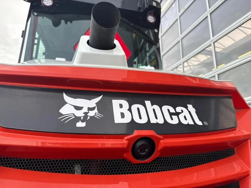 Bobcat  - Afbeelding 15 van 20