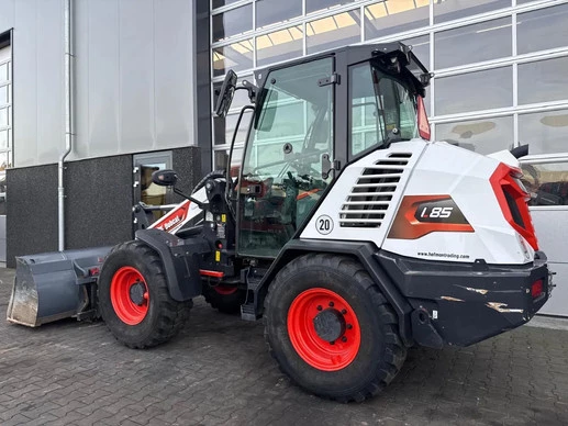 Bobcat  - Afbeelding 3 van 20