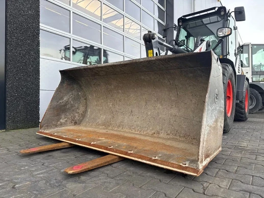 Bobcat  - Afbeelding 5 van 20