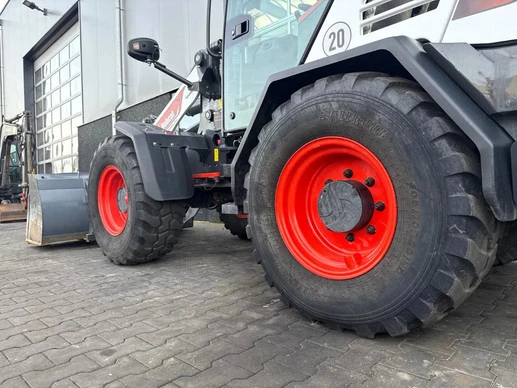 Bobcat  - Afbeelding 7 van 20