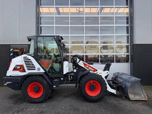 Bobcat  - Afbeelding 10 van 20