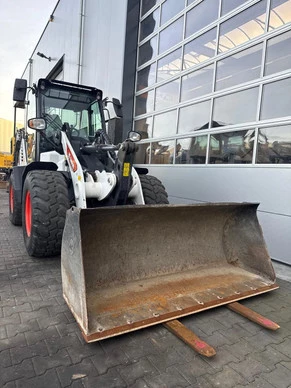 Bobcat  - Afbeelding 13 van 20