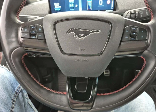 Ford Mustang Mach-E - Afbeelding 8 van 22